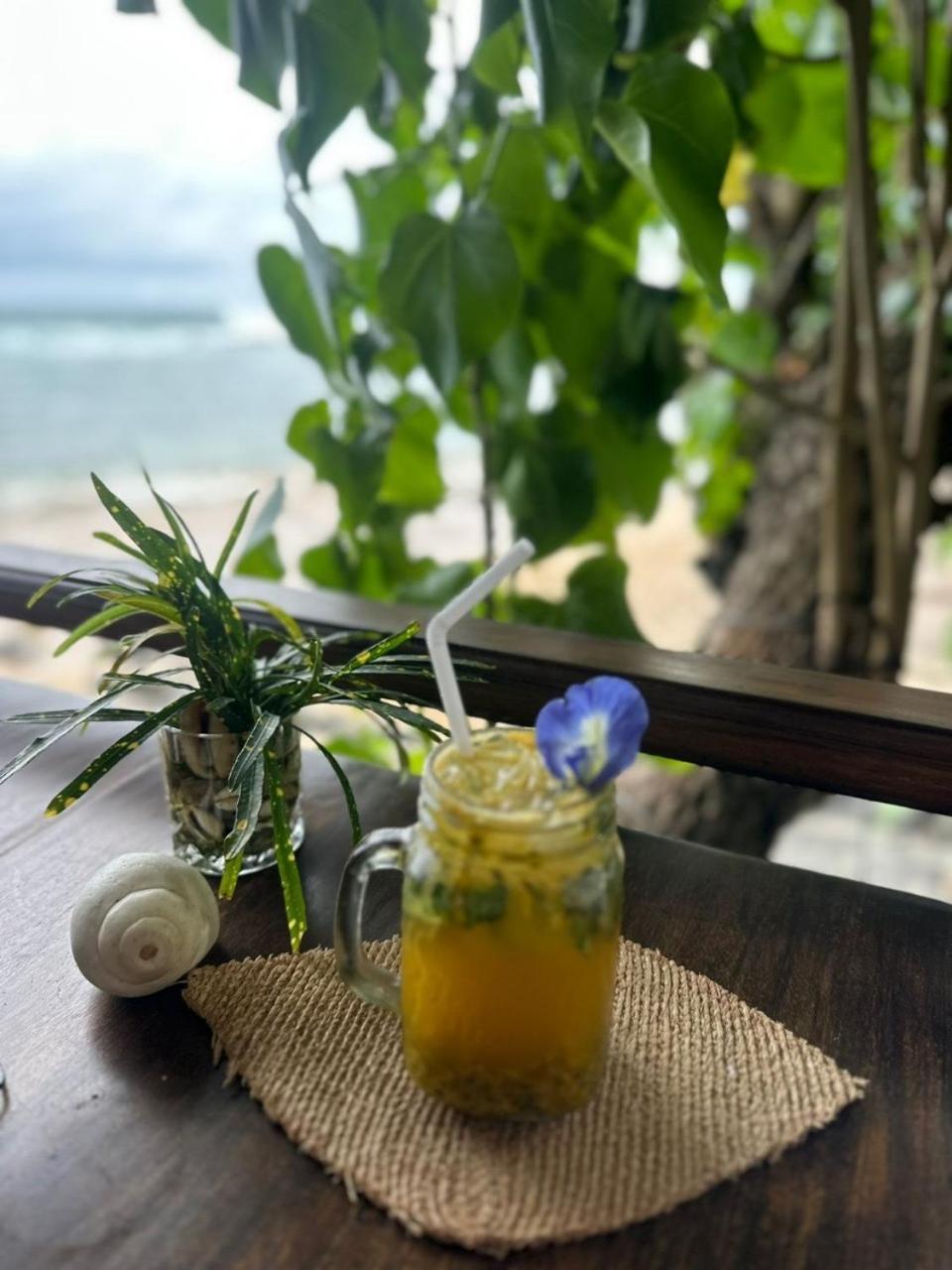 Coconut Palm Beach Restaurant And Rooms Диквелла Экстерьер фото