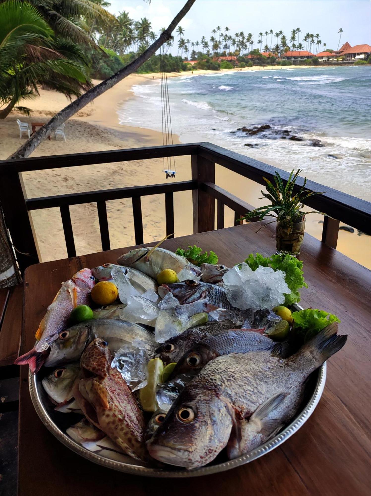 Coconut Palm Beach Restaurant And Rooms Диквелла Экстерьер фото