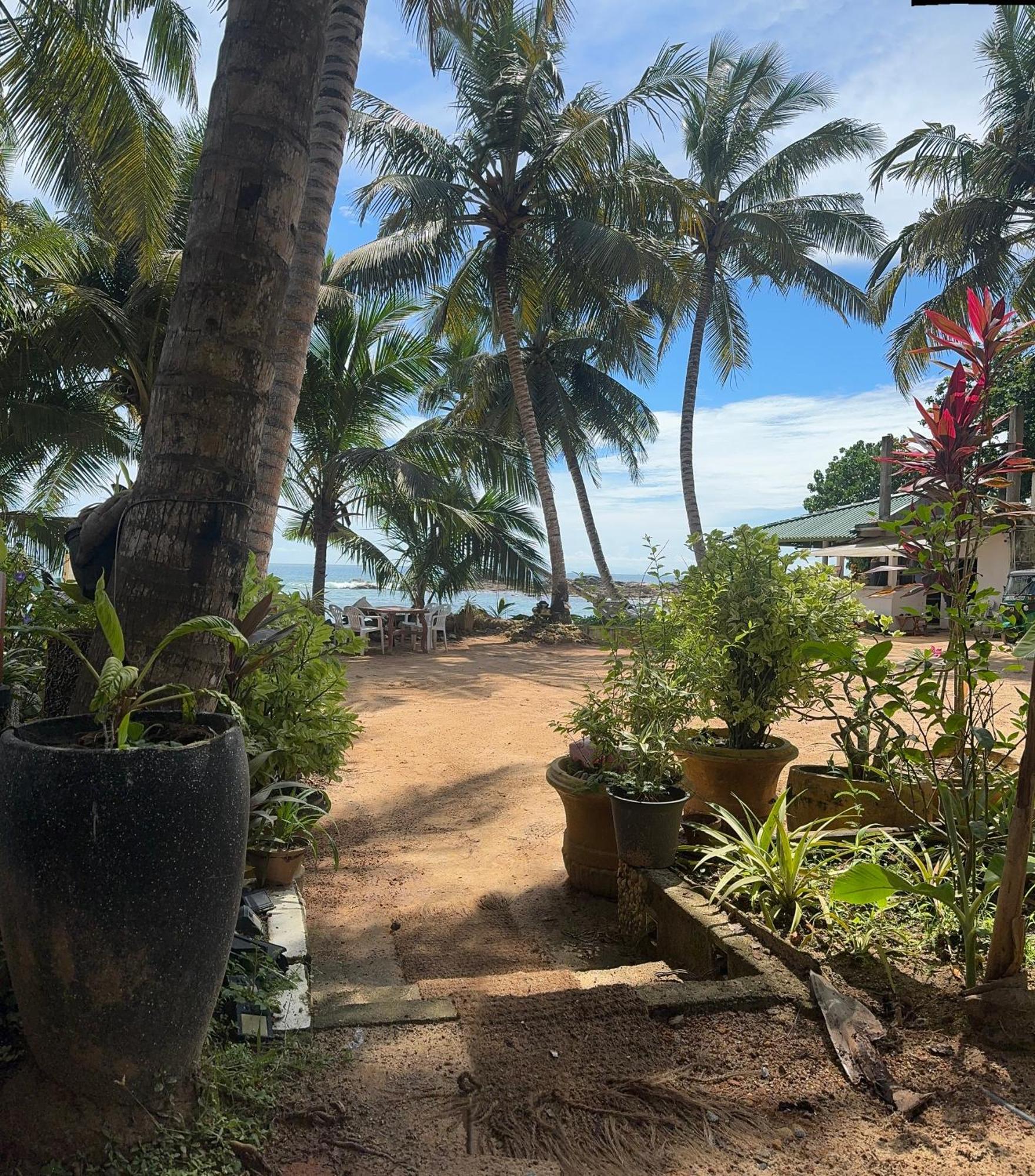 Coconut Palm Beach Restaurant And Rooms Диквелла Экстерьер фото