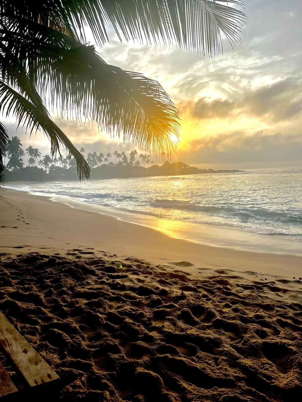 Coconut Palm Beach Restaurant And Rooms Диквелла Экстерьер фото